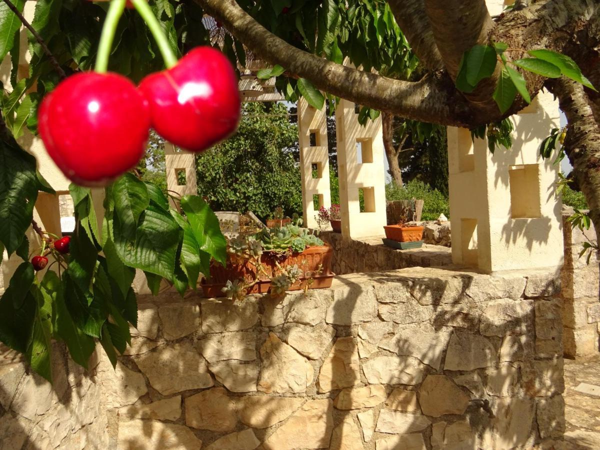 Trulli Di Zia Tata Guest House Locorotondo Exterior foto